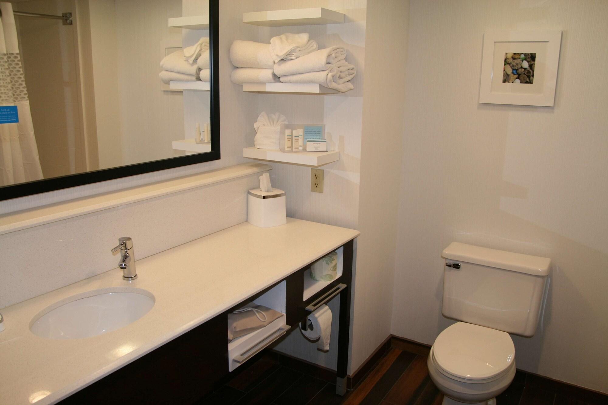 Hampton Inn Birch Run Extérieur photo